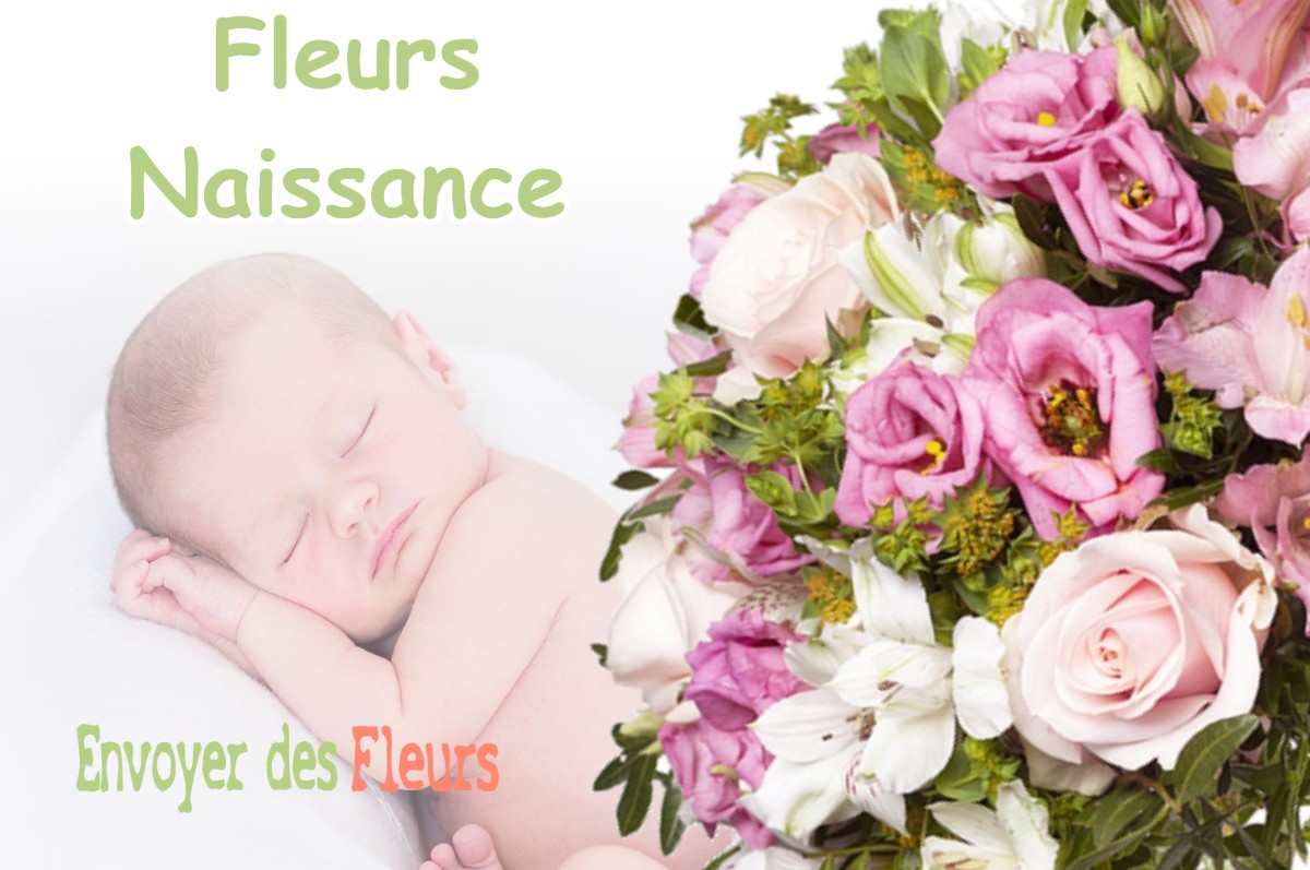 lIVRAISON FLEURS NAISSANCE à MONTESQUIEU-LAURAGAIS